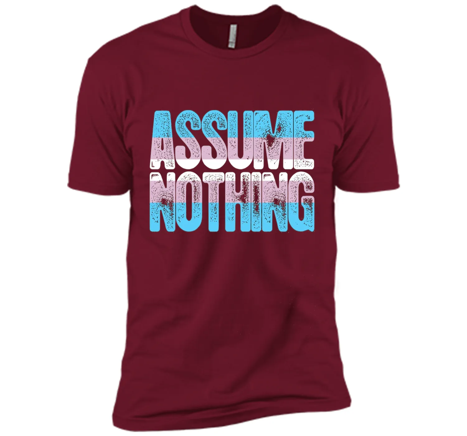 Assume Nothing Transgender Pride T-Shirt cool shirt