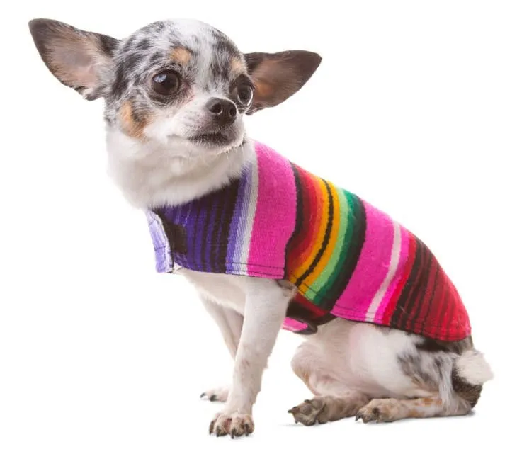 Handmade Dog Poncho From Authentic Mexican Serape - Blue or Pink - XXS - 3XL