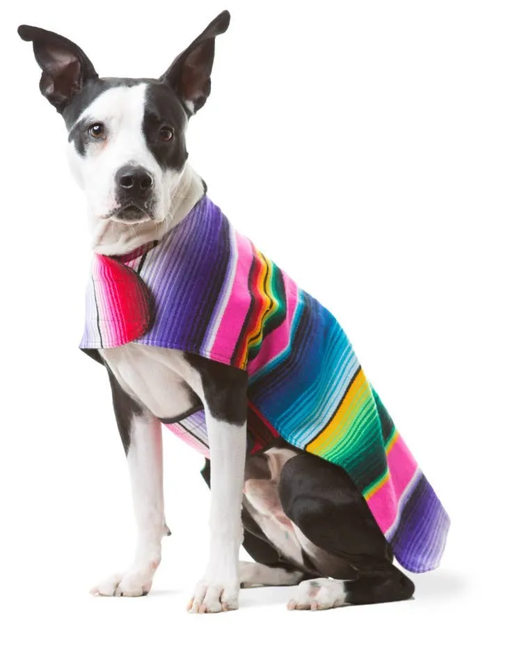 Handmade Dog Poncho From Authentic Mexican Serape - Blue or Pink - XXS - 3XL