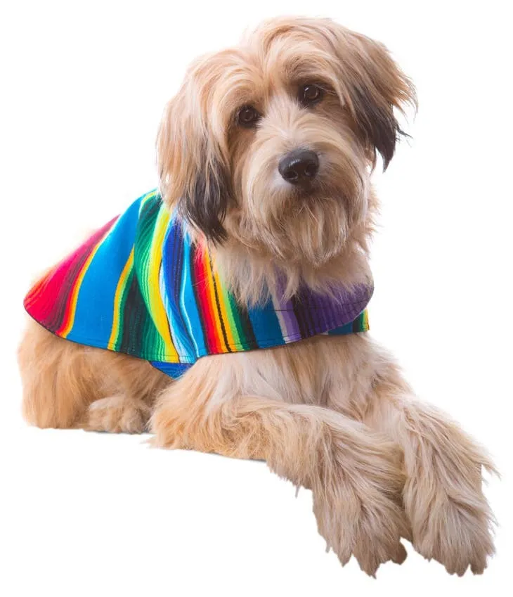Handmade Dog Poncho From Authentic Mexican Serape - Blue or Pink - XXS - 3XL