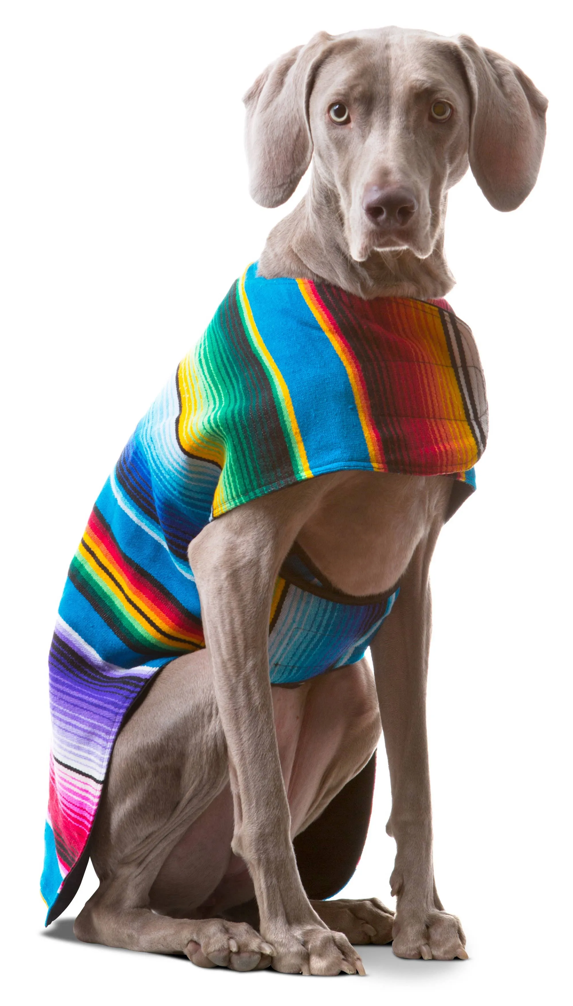Handmade Dog Poncho From Authentic Mexican Serape - Blue or Pink - XXS - 3XL