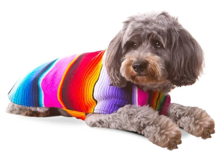 Handmade Dog Poncho From Authentic Mexican Serape - Blue or Pink - XXS - 3XL