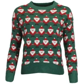 Womens Xmas Novelty Christmas Santa Jumper
